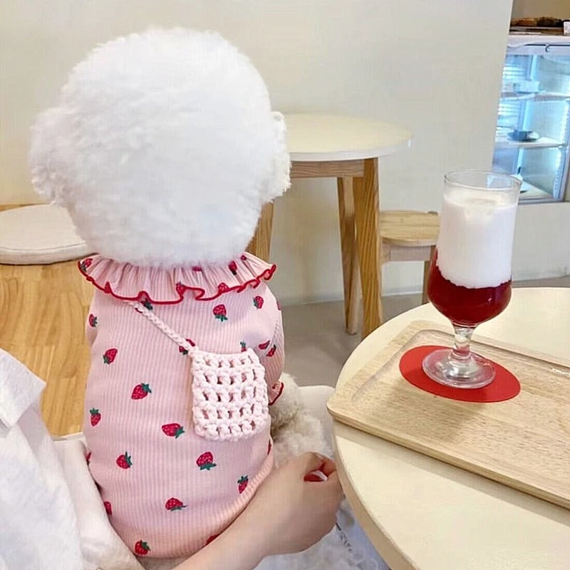 Summer Thin Lace Strawberry Pet Cat Dog Clothes