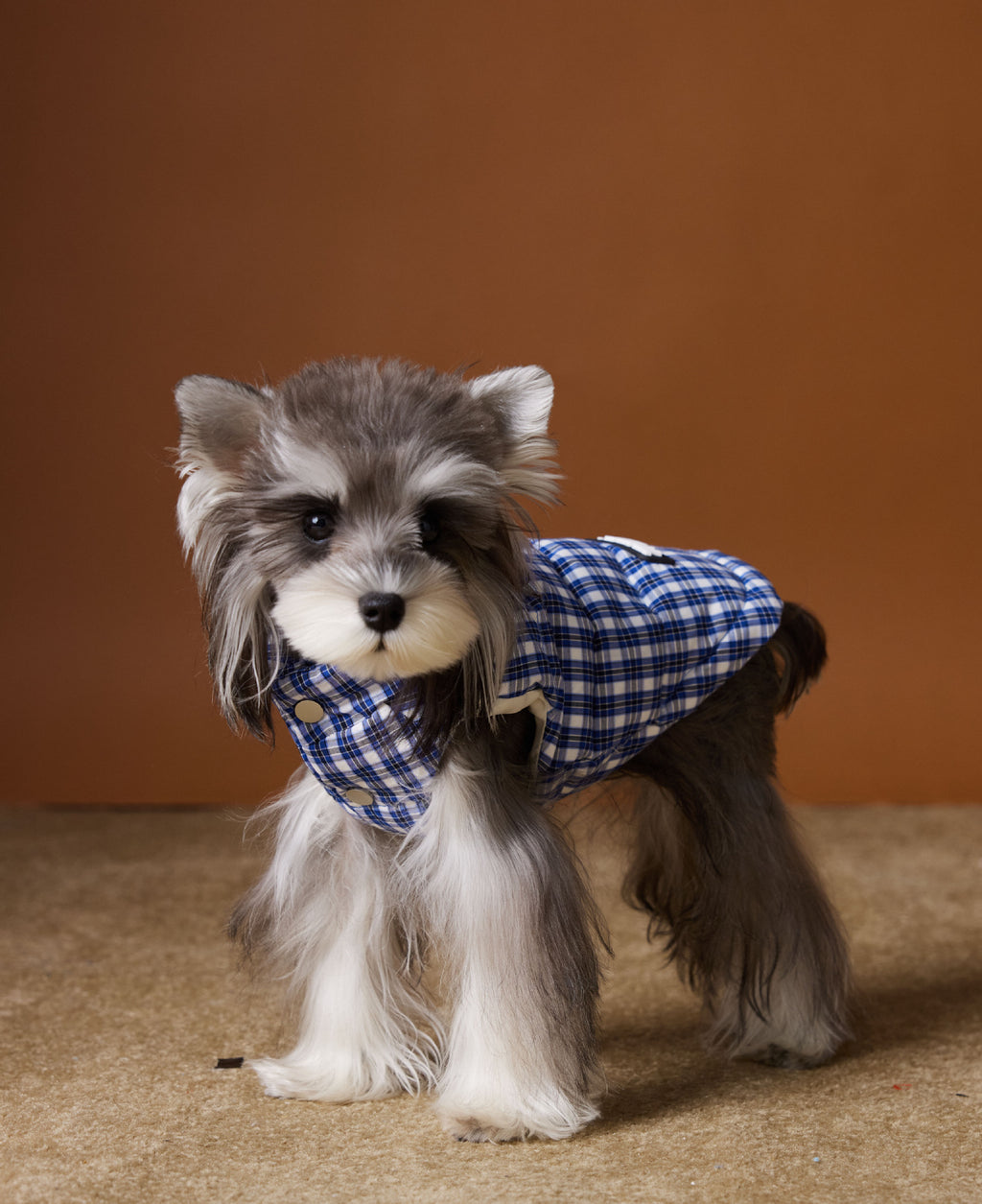 Dog Clothes Autumn And Winter Down Vest
