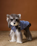 Dog Clothes Autumn And Winter Down Vest