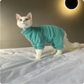 Soft Stretchy Clothing For Sphynx Cats In Fall And Winter
