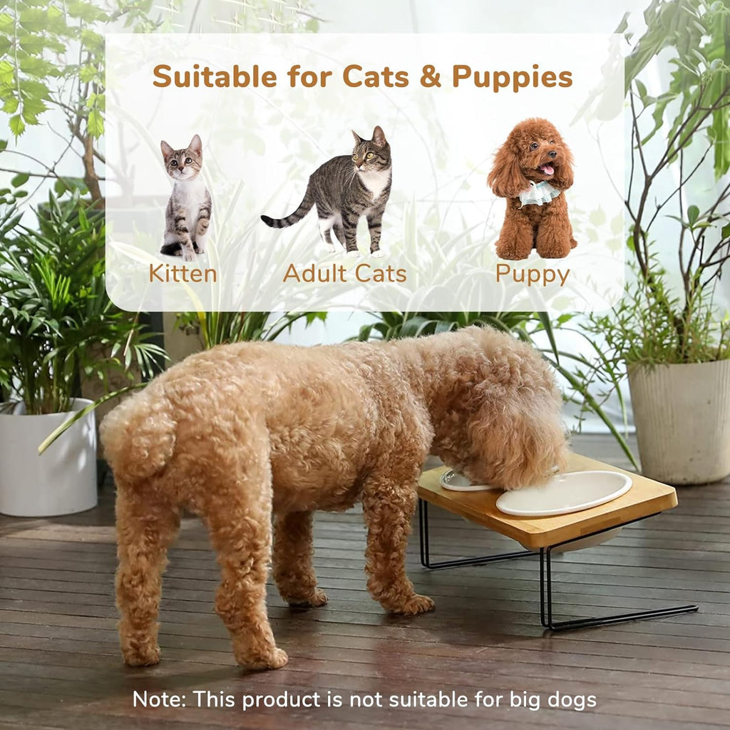 Small Dog Water And Food Feeder - Tilted Ceramic Bowl Set With Bamboo Stand