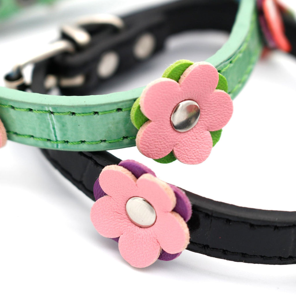 Small Dog And Cat Collars Pets