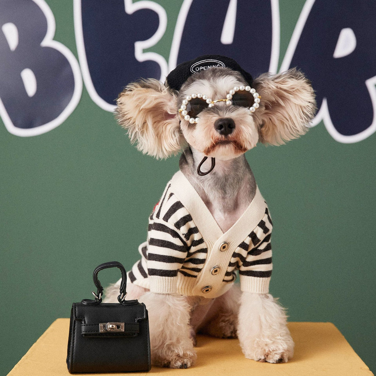 Pure Color Simple Pet Dog With Beret