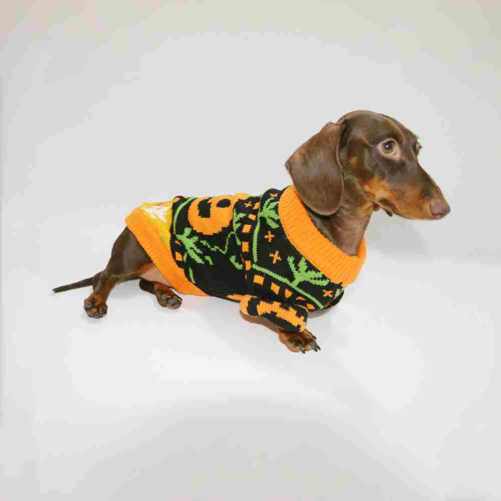 Dog Cat Pet Clothes Warm Pumpkin Color Matching Sweater