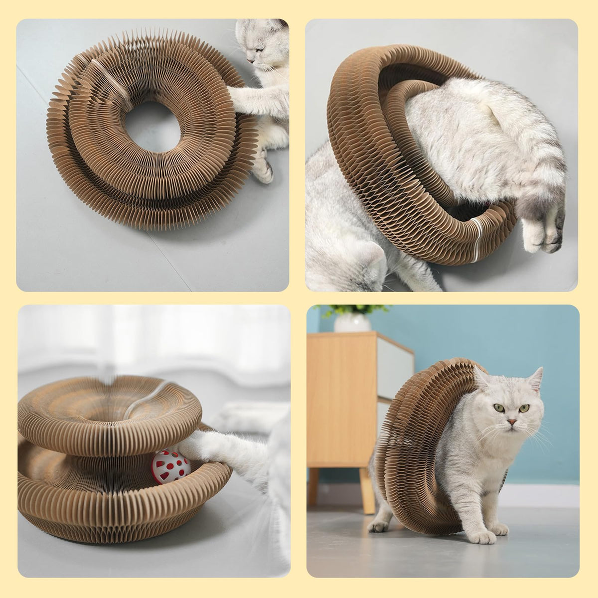 Cat Accordion Cat Toy Kitty Kurlz Cat Toy Ball Scratch Pad Magic Organ Cat Scratching Board Cat Scratcher