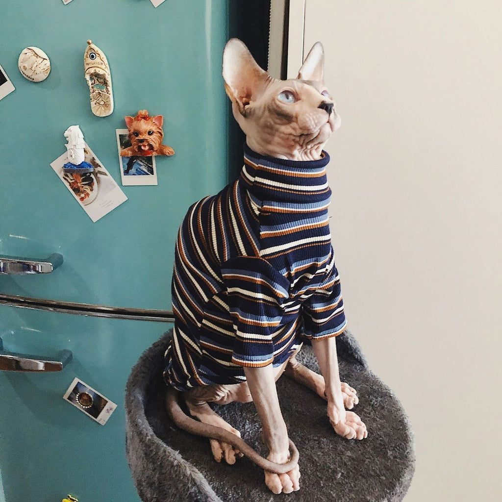 Springsummer Sphinx Hairless Cat Clothing Breathable And Artistic