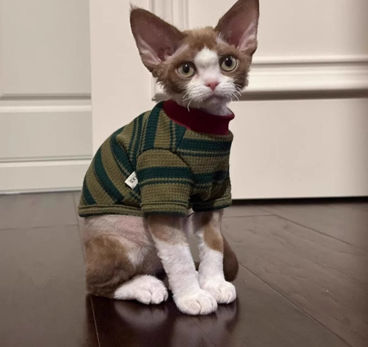 A Cute Green Striped Two-legged Vest
