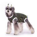 Dog Physical Pants Springsummer Thin Bellyband Vest