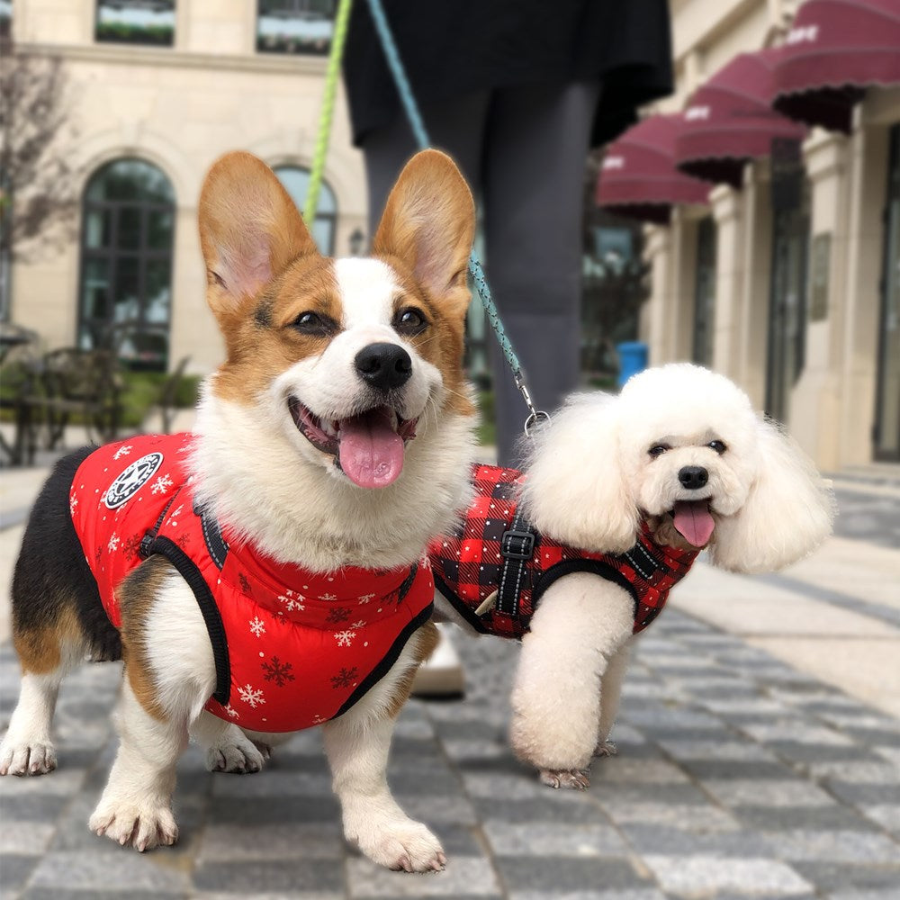 Autumn And Winter Clothing Warm Pet Clothing Waterproof Reflective Tape Chest Back Dog Cotton