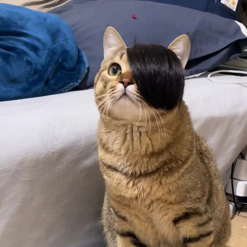Pet Wig Fox Cat Funny Dress Up