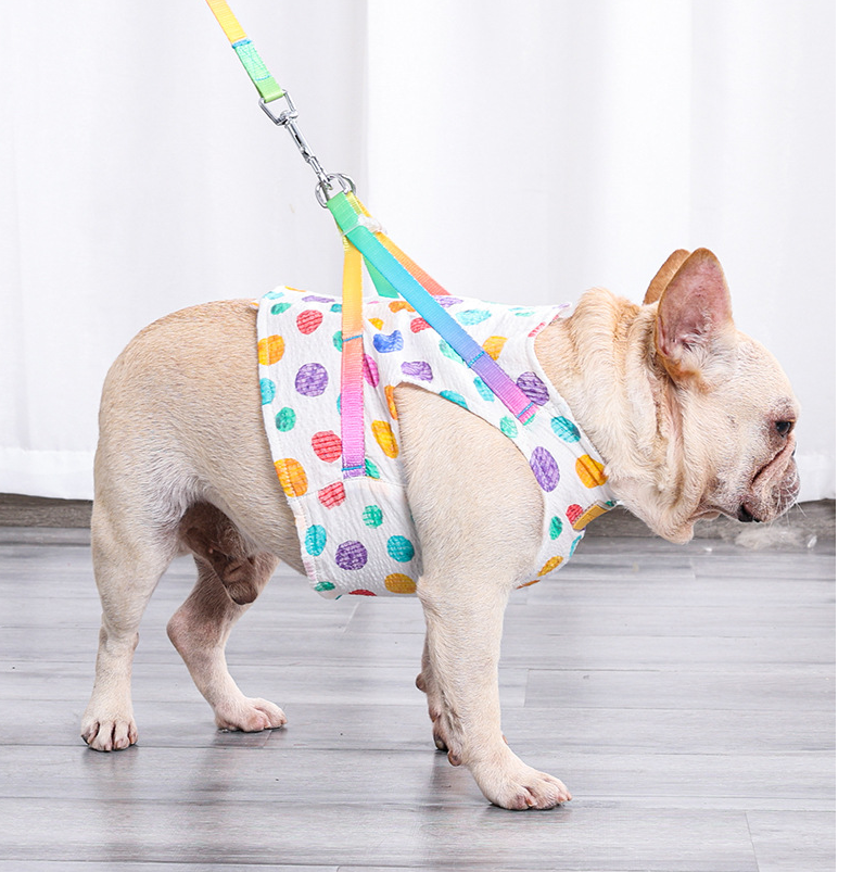 Pet Small Or Medium Sized Dog On A Chested Leash