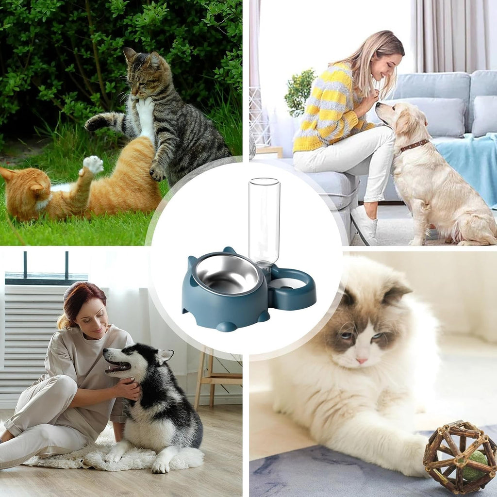 Cat Food And Water Bowl Set - 16 Degree Tilted Dog Dish With Water Dispenser Removable Pet Feeder Bowl Dog Drinking And Eating Bowl Detachable Pet