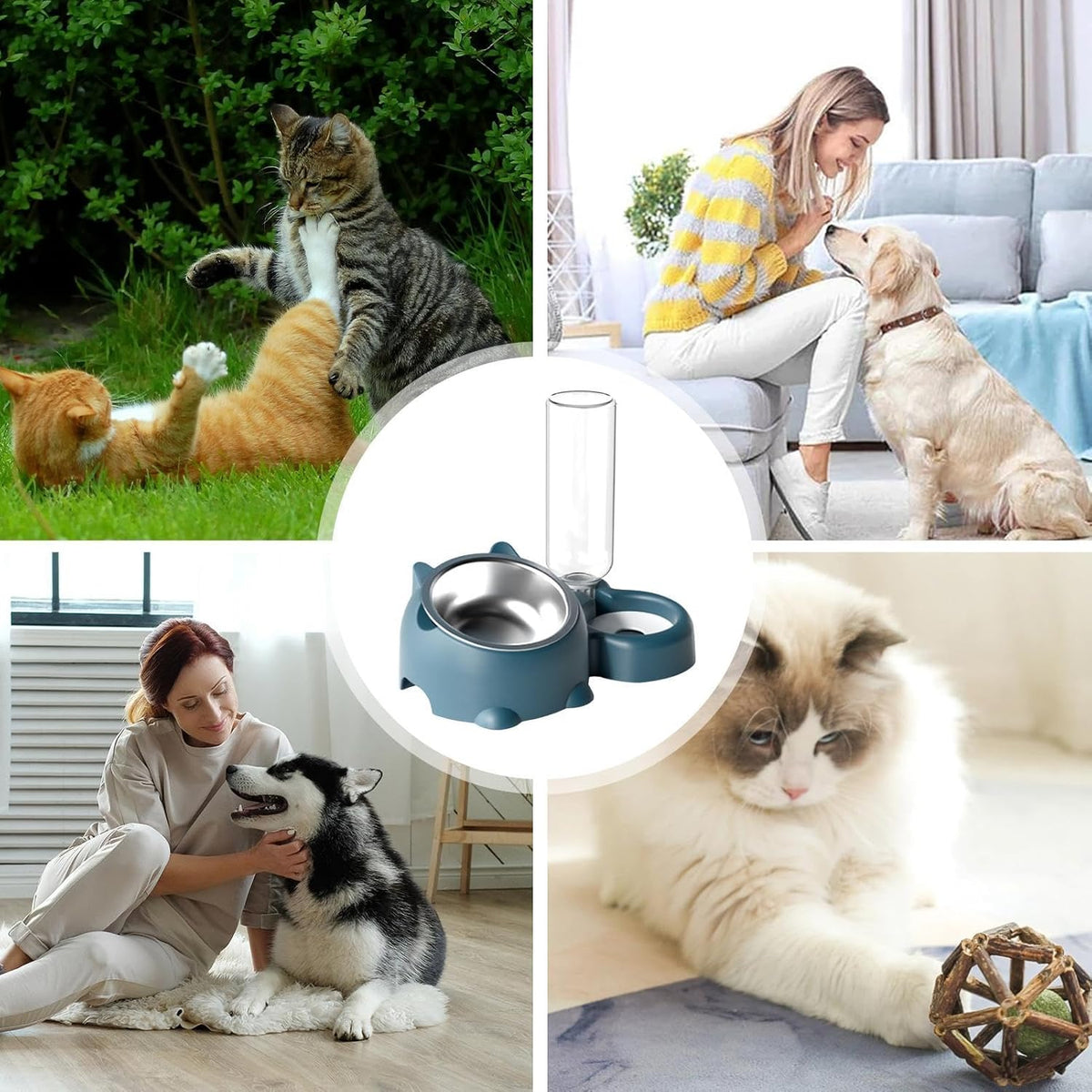 Cat Food And Water Bowl Set - 16 Degree Tilted Dog Dish With Water Dispenser Removable Pet Feeder Bowl Dog Drinking And Eating Bowl Detachable Pet