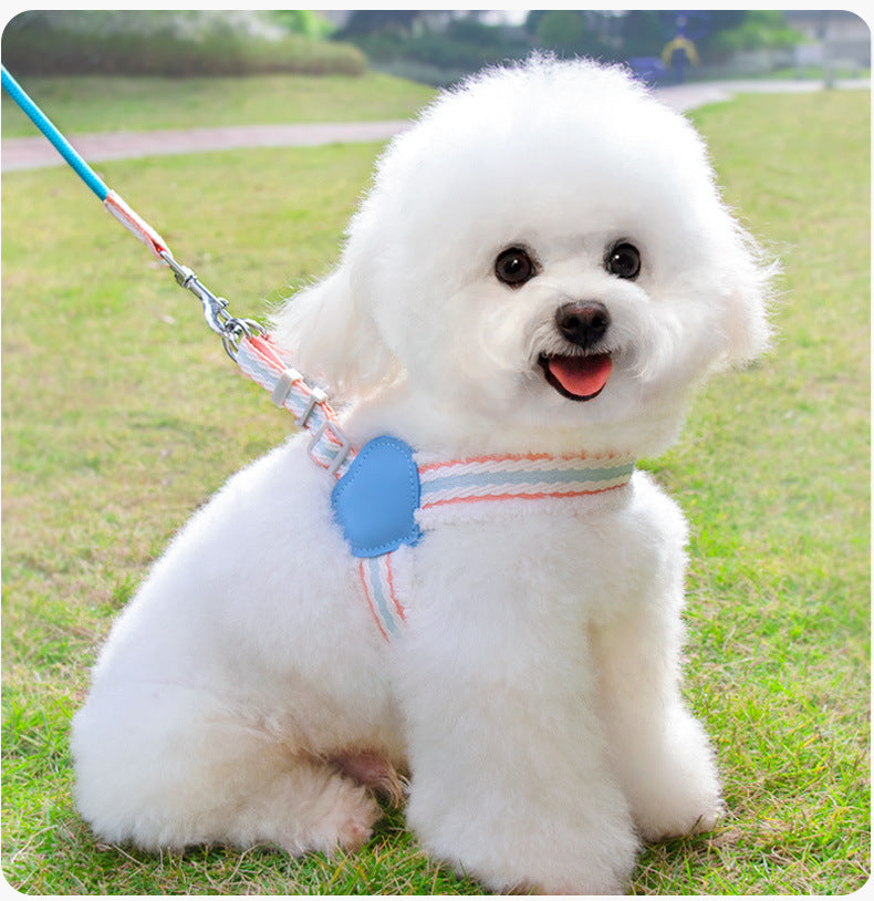 Dog Leash Summer Breathable Corgi Shiba Inu Bichon Chest Vest Walking Dog Leash Small And Medium-sized Dog Pet Supplies