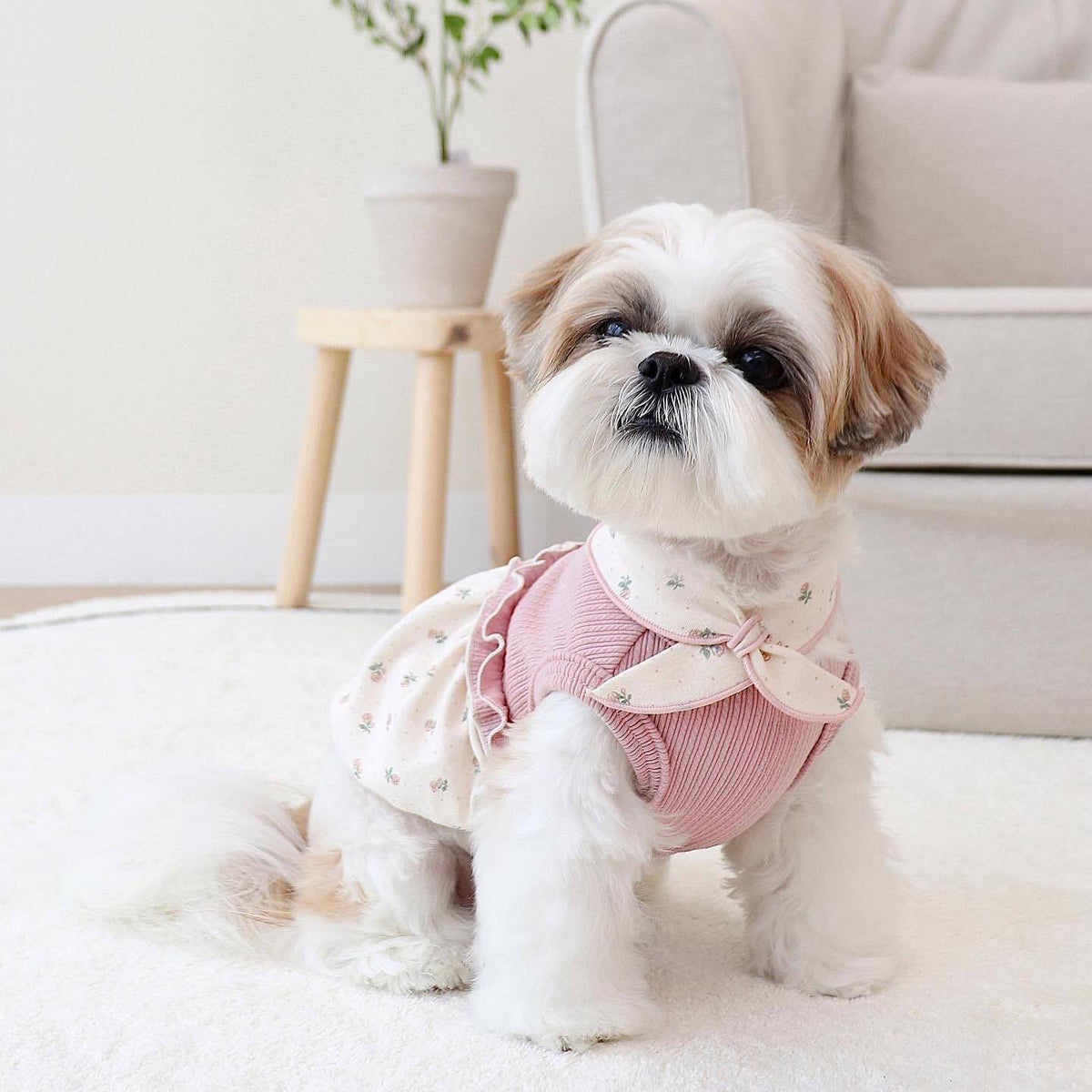Warm And Cute Small Scarf Floral Bubble Skirt Vest