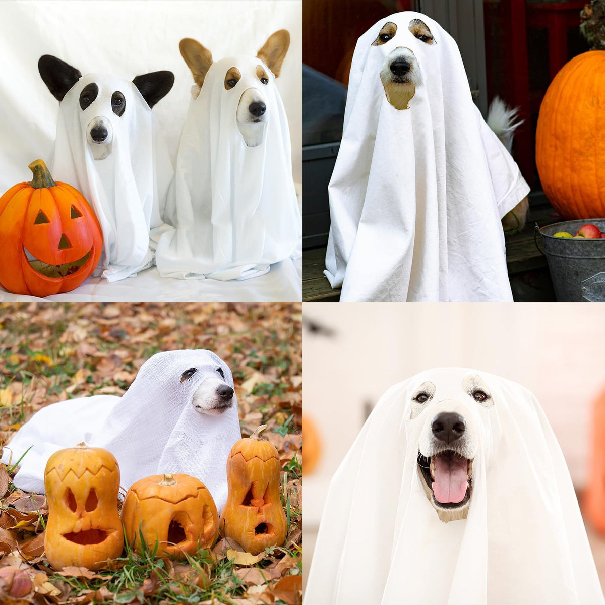 Halloween Ghost Costume Props and Decorations - Party Supplies for Holiday Festival Home Decoration