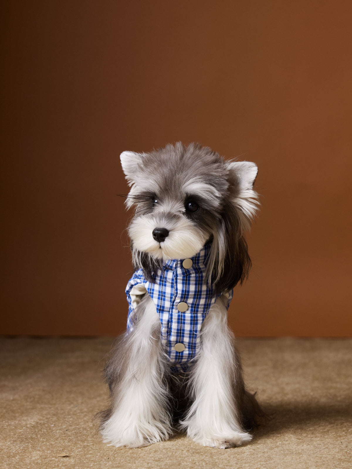 Dog Clothes Autumn And Winter Down Vest