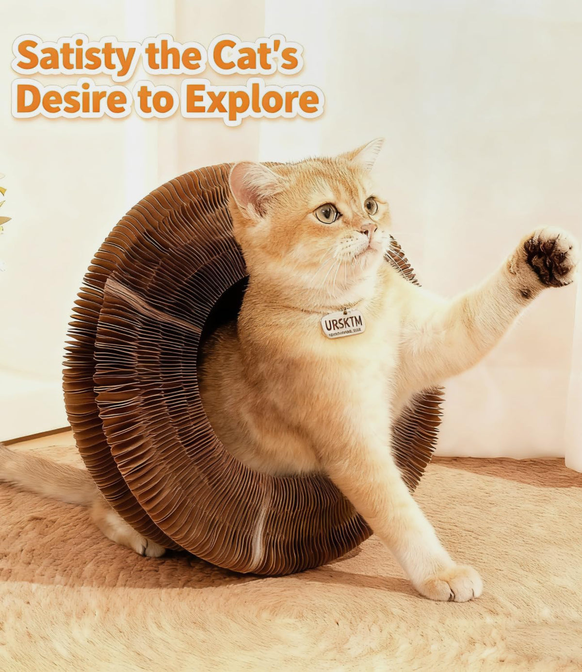 2PCS Upgraded-Magnetic Kitty Kurls Cat Scratcher Toy, Interactive Cardboard Cat Toy For Mental Physical Exercise, Multi-Shape Magic Organ Cat Toy For