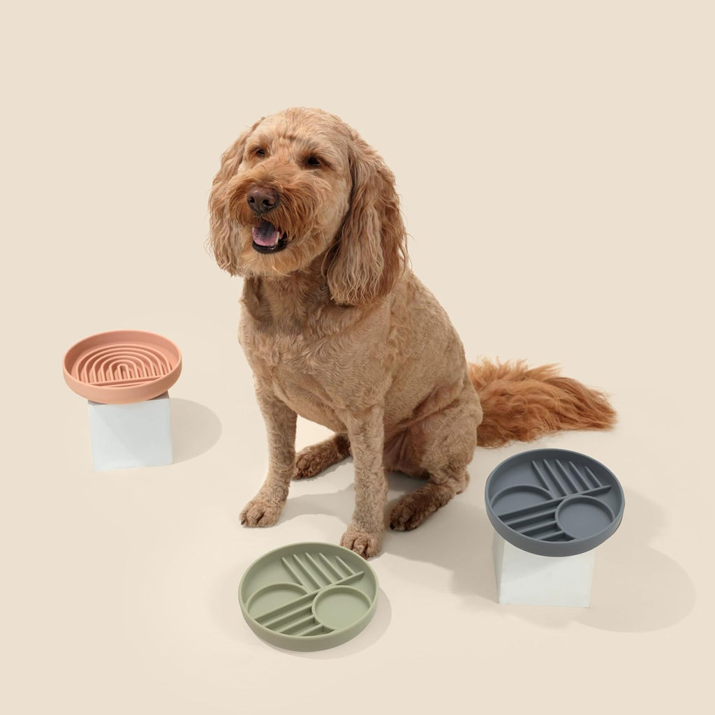 The Slowdown Bowl Silicone Slow Feeder For Dogs Puppies Slow Eating Modern Lick Mat Design Reduces Gulping Dishwasher Fit For All Breed Mealtime