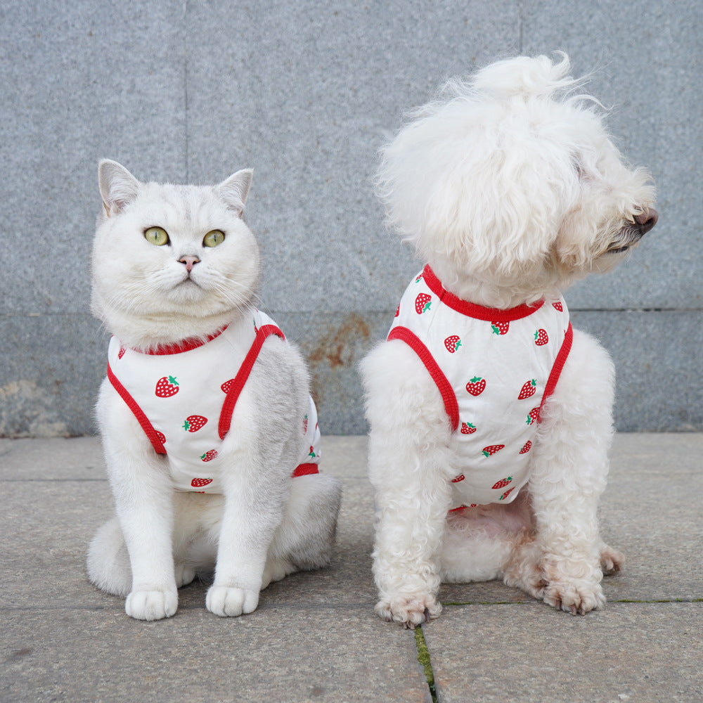 Thin PET Vest Anti-lint