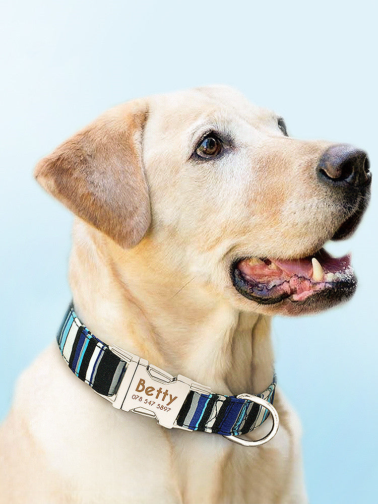 Medium-sized Dog Pet Golden Retriever Big Dog Rope