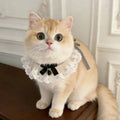 Cute Bow-Knot Fairy Cat Drool Bib