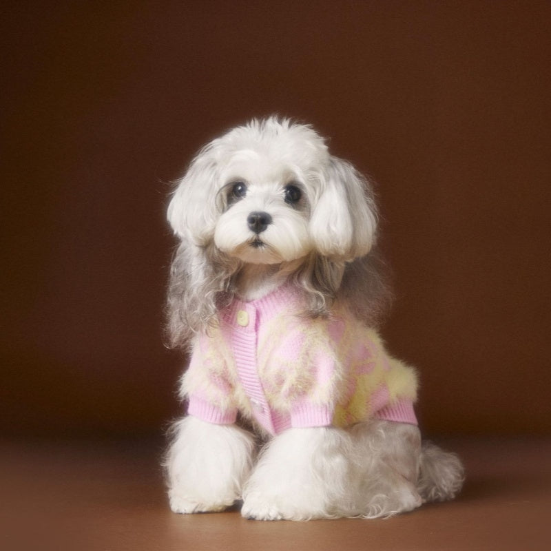 Schnauzer Teddy Bichon Cute Cardigan Sweater