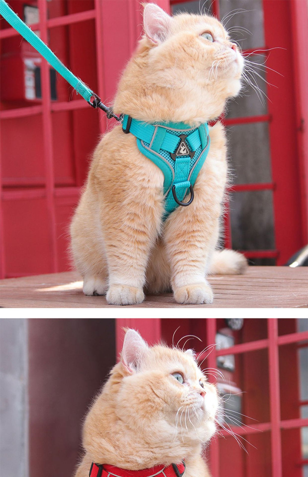 Dog Hand Holding Rope Pet Vest Chest Strap Mesh Breathable Cat Anti-lost Collar
