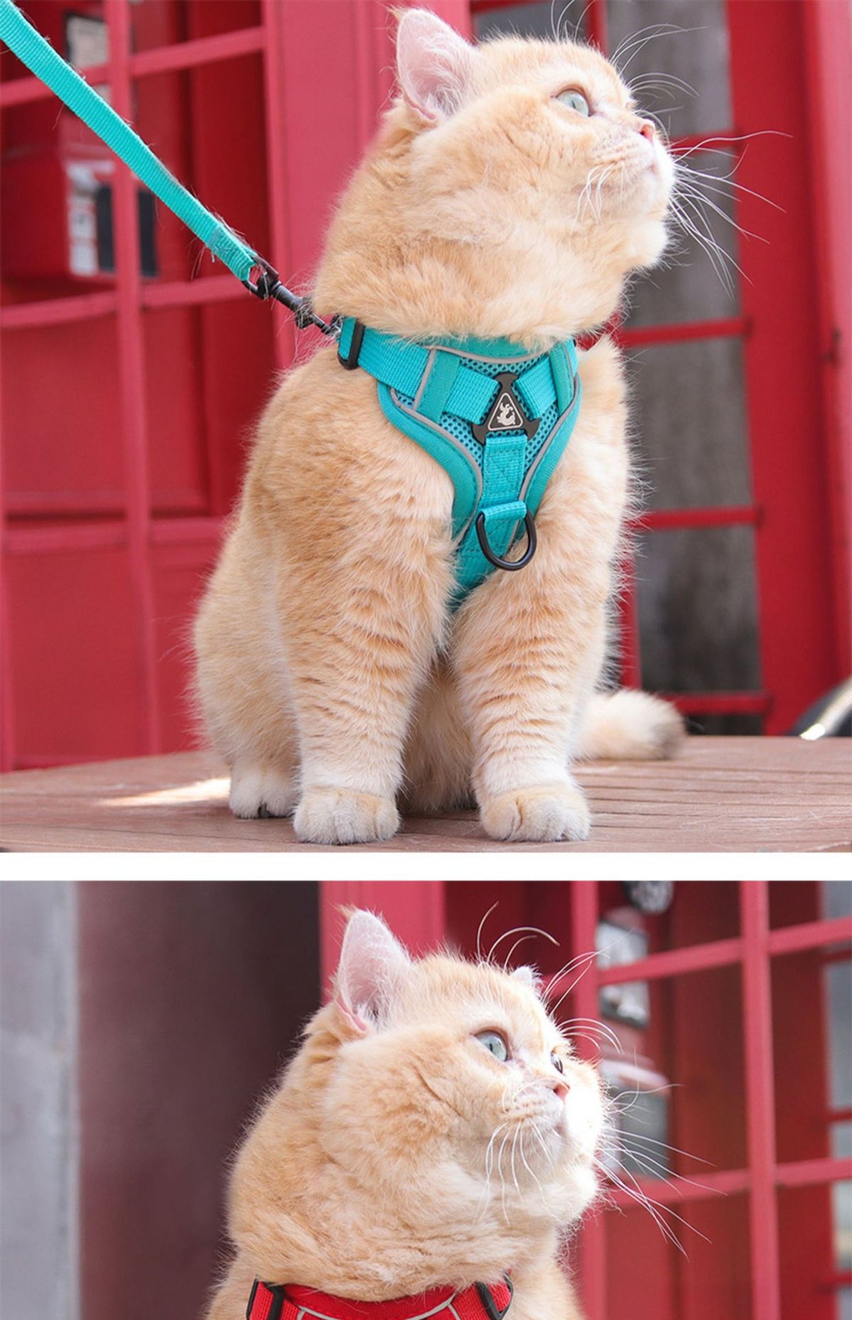 Dog Hand Holding Rope Pet Vest Chest Strap Mesh Breathable Cat Anti-lost Collar