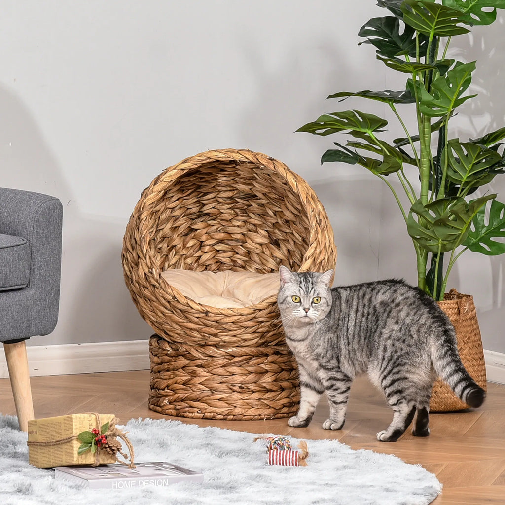 Pet Cat Bed/Cat House