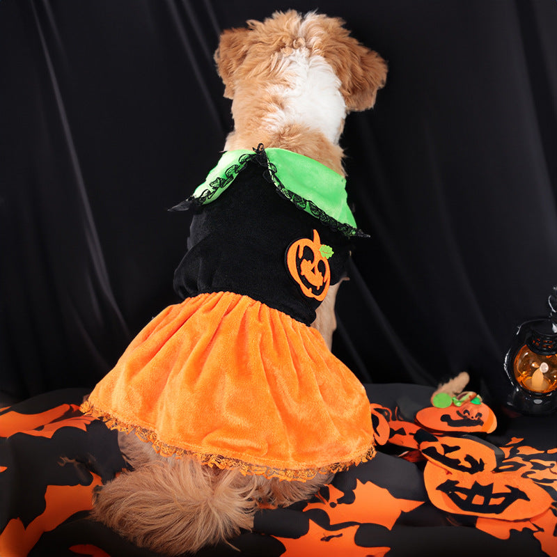 New Arrival Pet Costume Halloween Classic Pumpkin Skirt Bichon Teddy Dog Cat Christmas Clothes