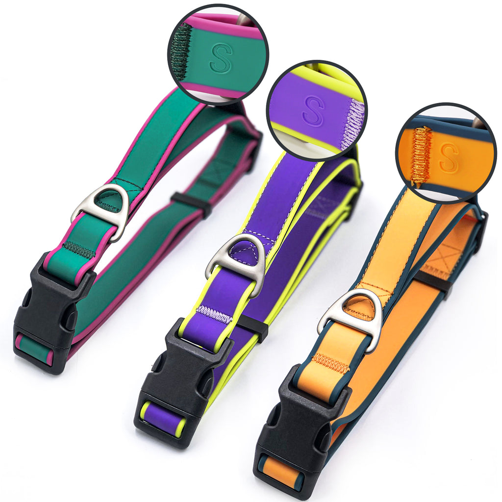 Fashionable New Tactical Collar Allows You To Better Control Your Beloved Dog