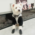 Dog Clothes Fake Two-Piece AutumnWinter Warmth Schnauzer Bichon Teddy Shiba Inu Westie Pet Hooded Sweatshirt