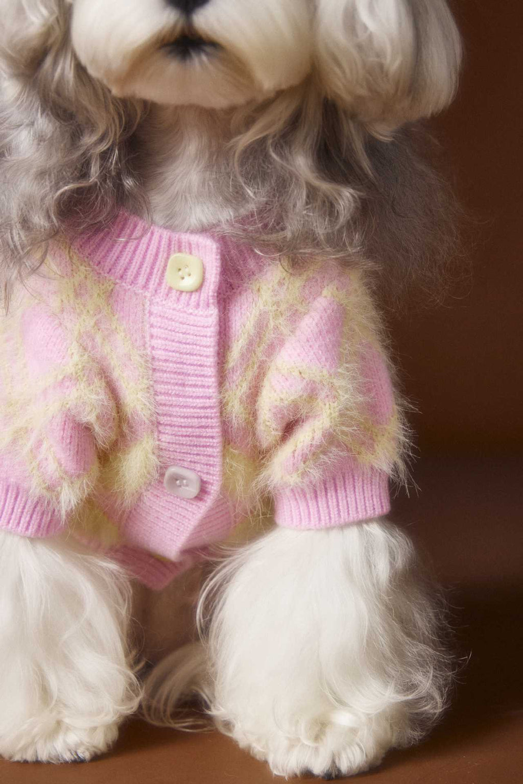 Schnauzer Teddy Bichon Cute Cardigan Sweater