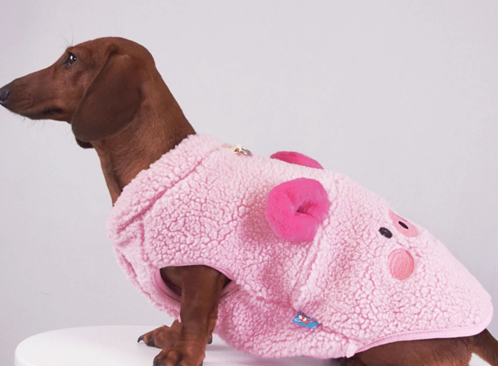 Autumn And Winter Dog Cat Pet Clothes Lambswool Vest
