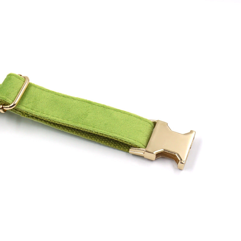 INS Wind Matcha Green Velvet Dog Collar