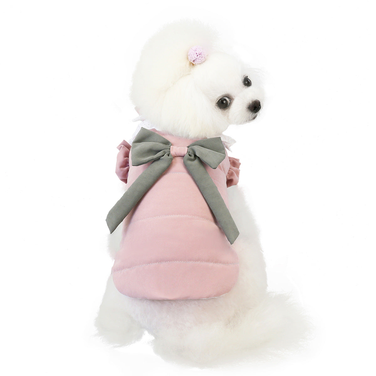 Pet Clothing Winter Supplies Lace Collar Vest