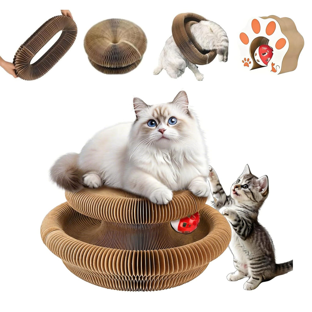 Cat Accordion Cat Toy Kitty Kurlz Cat Toy Ball Scratch Pad Magic Organ Cat Scratching Board Cat Scratcher