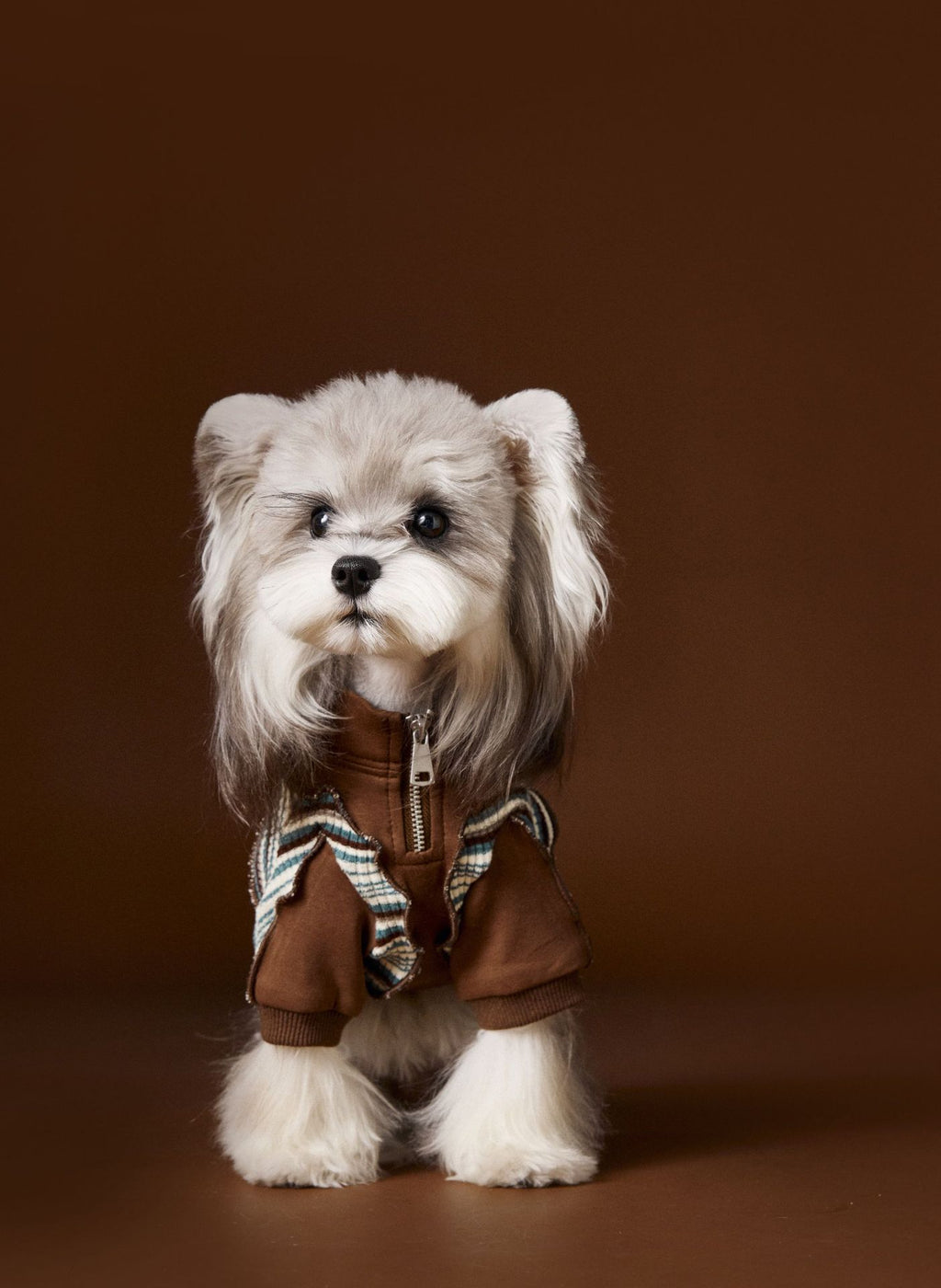 Schnauzer Teddy Bichon Yorkshire Striped Stitching Zipper Sweater