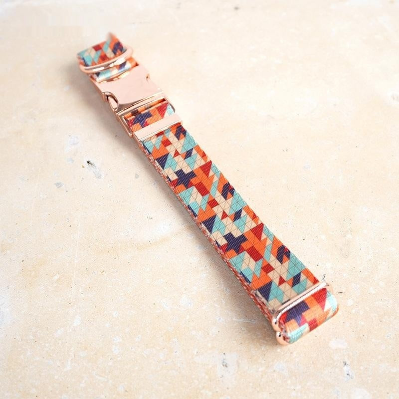 Triangular Sand Dune Dog Collar