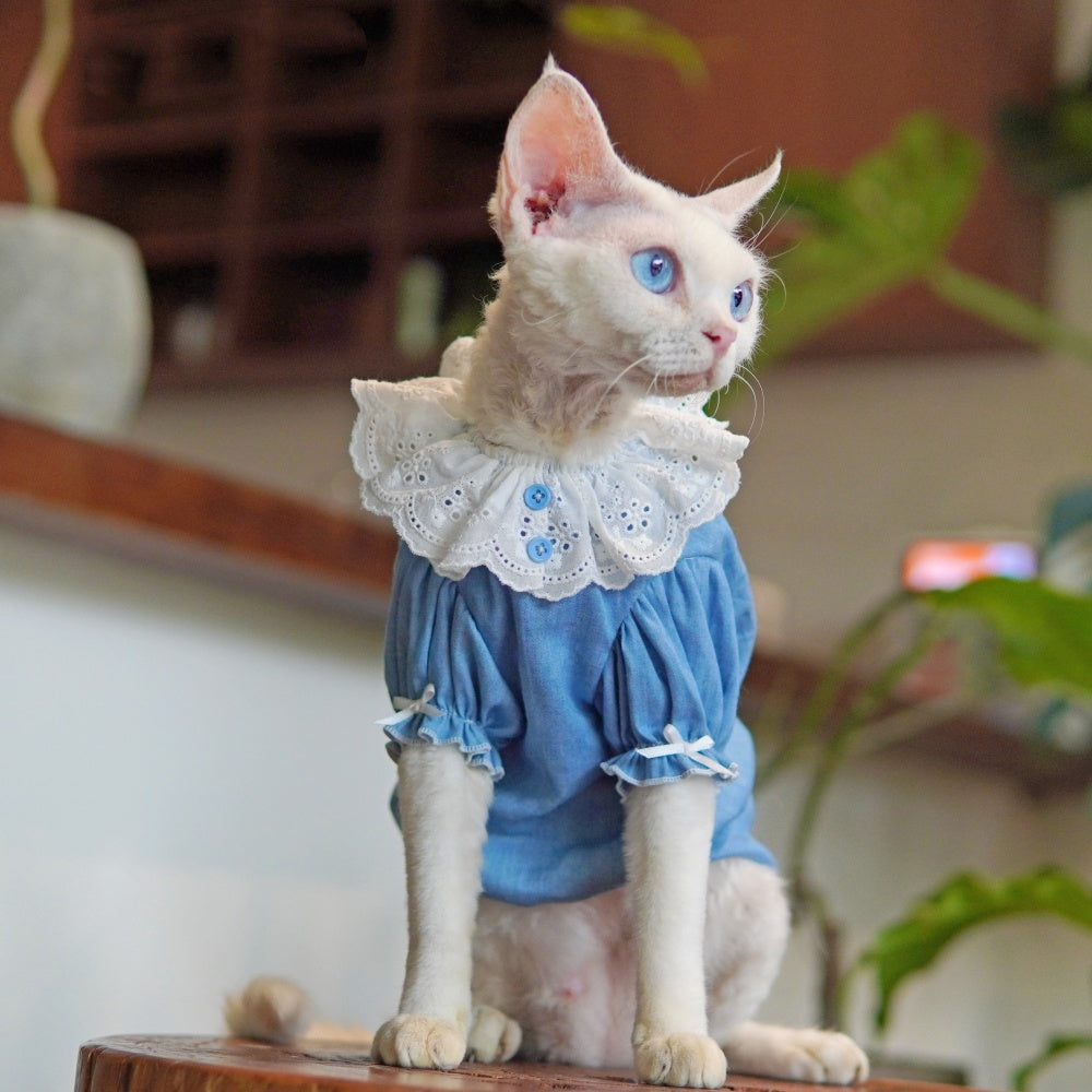 Sphynx Cat Summer Blue Dress With Lace Collar Lightweight Skin-Friendly Apparel For Hairless Cats And Devon Rex