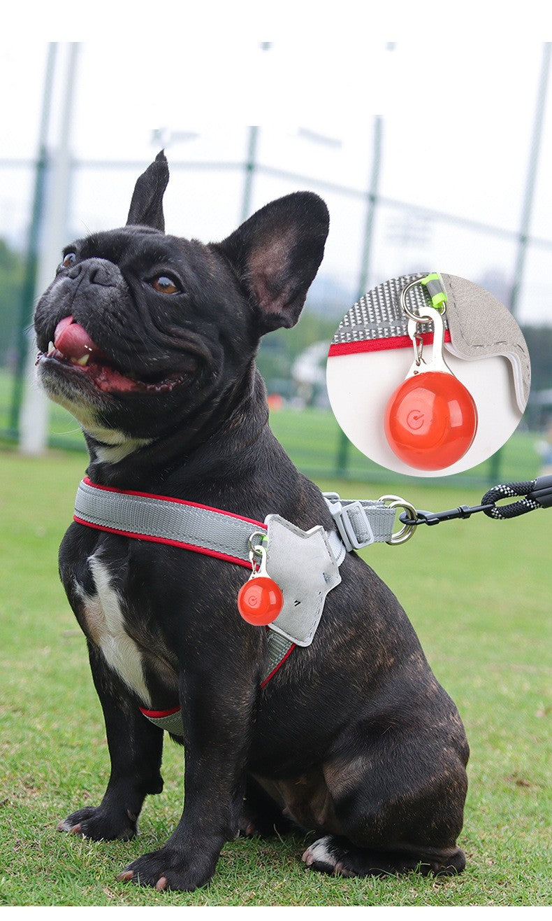 New Dog Breast Strap Breathable Mesh Pet Hand Holding Rope