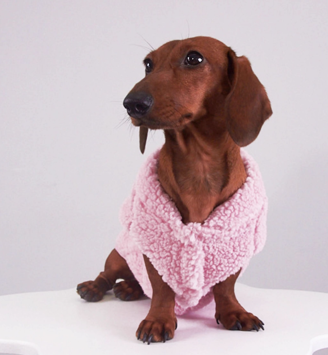 Autumn And Winter Dog Cat Pet Clothes Lambswool Vest