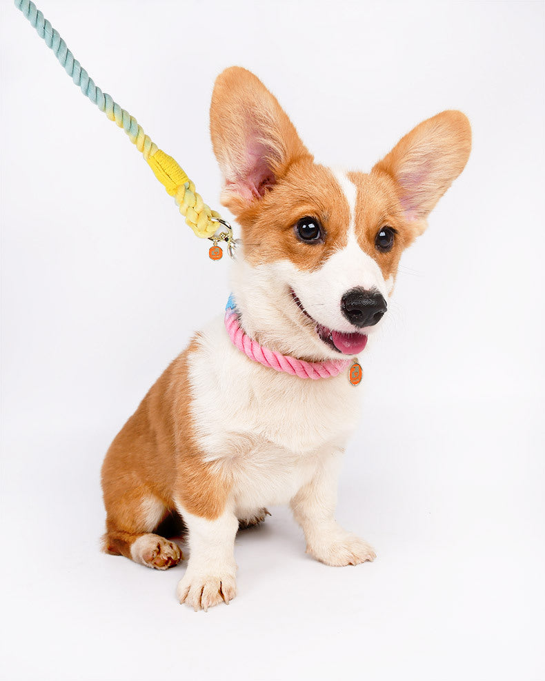 Braided Rope Dog Pet Explosion-proof Collar
