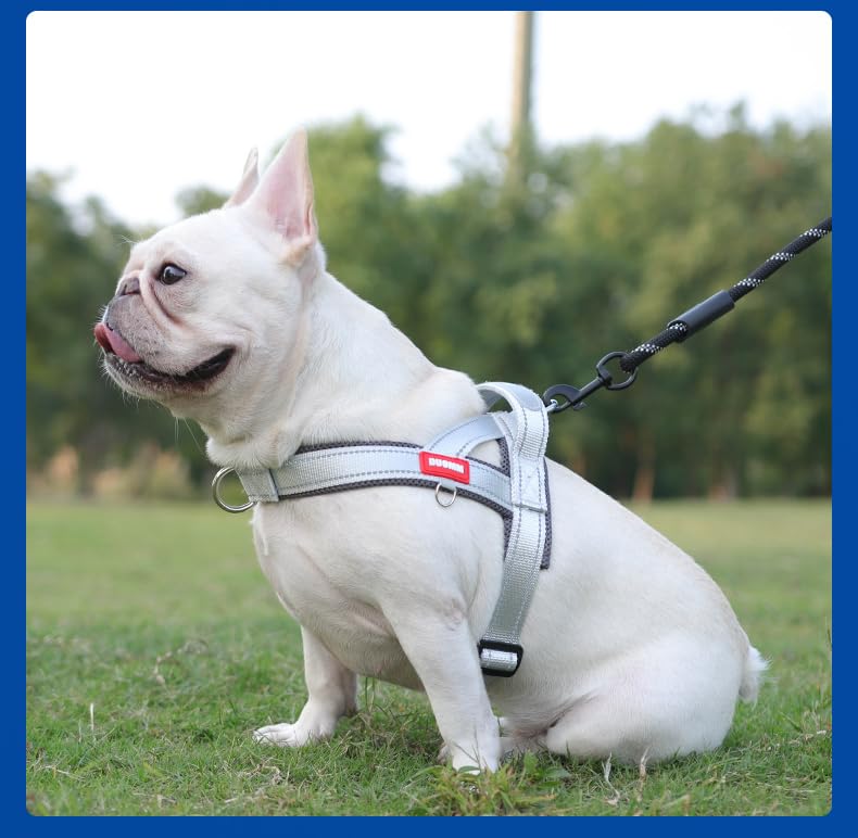 No Pull Dog Harness With 3 Clips And Soft Padded Handle Breathable Mesh Padded, Reflective Strip, Safe At Night, Escape Proof, Quick Adjustment, Easy