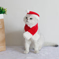 Dog Scarf Cat Hat Bib Jewelry Winter