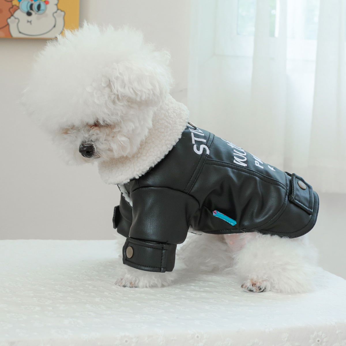 Pet Clothes Fleece Lined Padded Warm Keeping