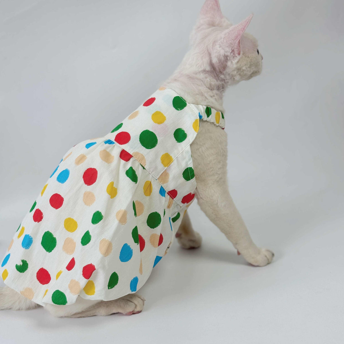 Sphynx Cat Cotton Polka Dot Dress Colorful Summer Clothes For Hairless Cats