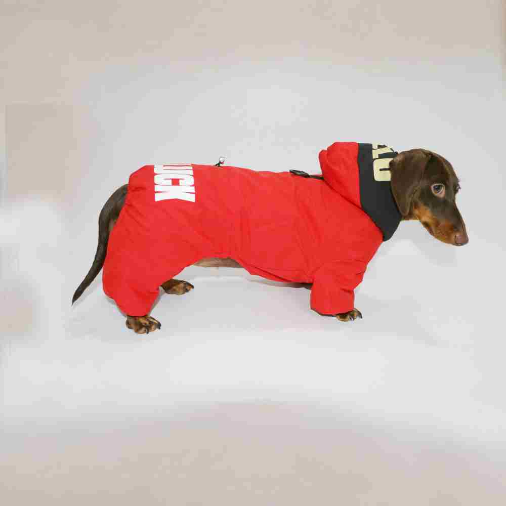 Dog Cat Winter Warm Thickened Outdoor Four-legged Pet Clothing