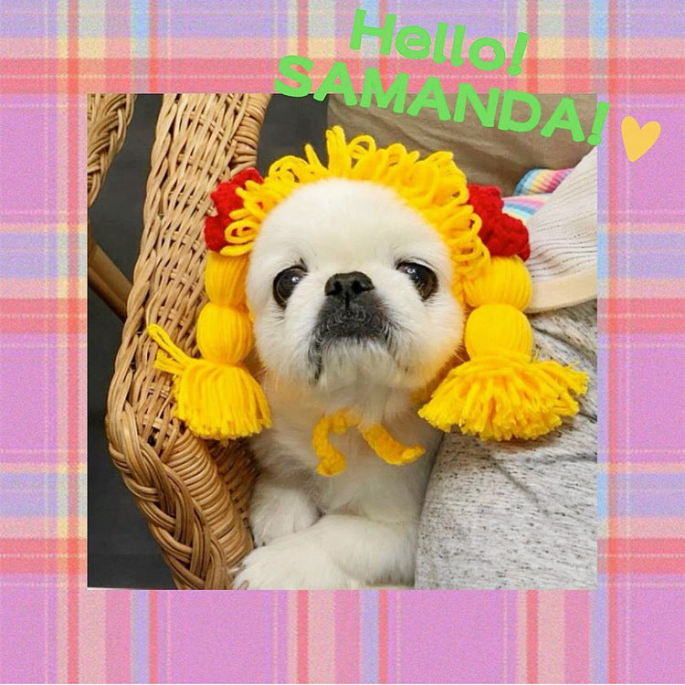 New Pet Hat Cute Style Braid Headgear Spring And Autumn